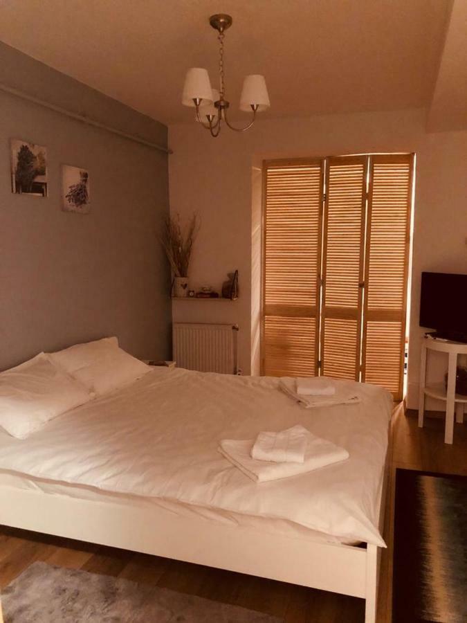 Fairytale Apartment Close To Bradu Ski Slope โปยานาบราซอฟ ภายนอก รูปภาพ