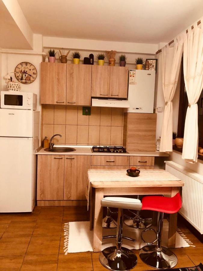 Fairytale Apartment Close To Bradu Ski Slope โปยานาบราซอฟ ภายนอก รูปภาพ