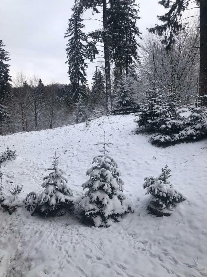 Fairytale Apartment Close To Bradu Ski Slope โปยานาบราซอฟ ภายนอก รูปภาพ